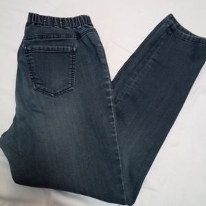 Style & Company petite jeans,   XL